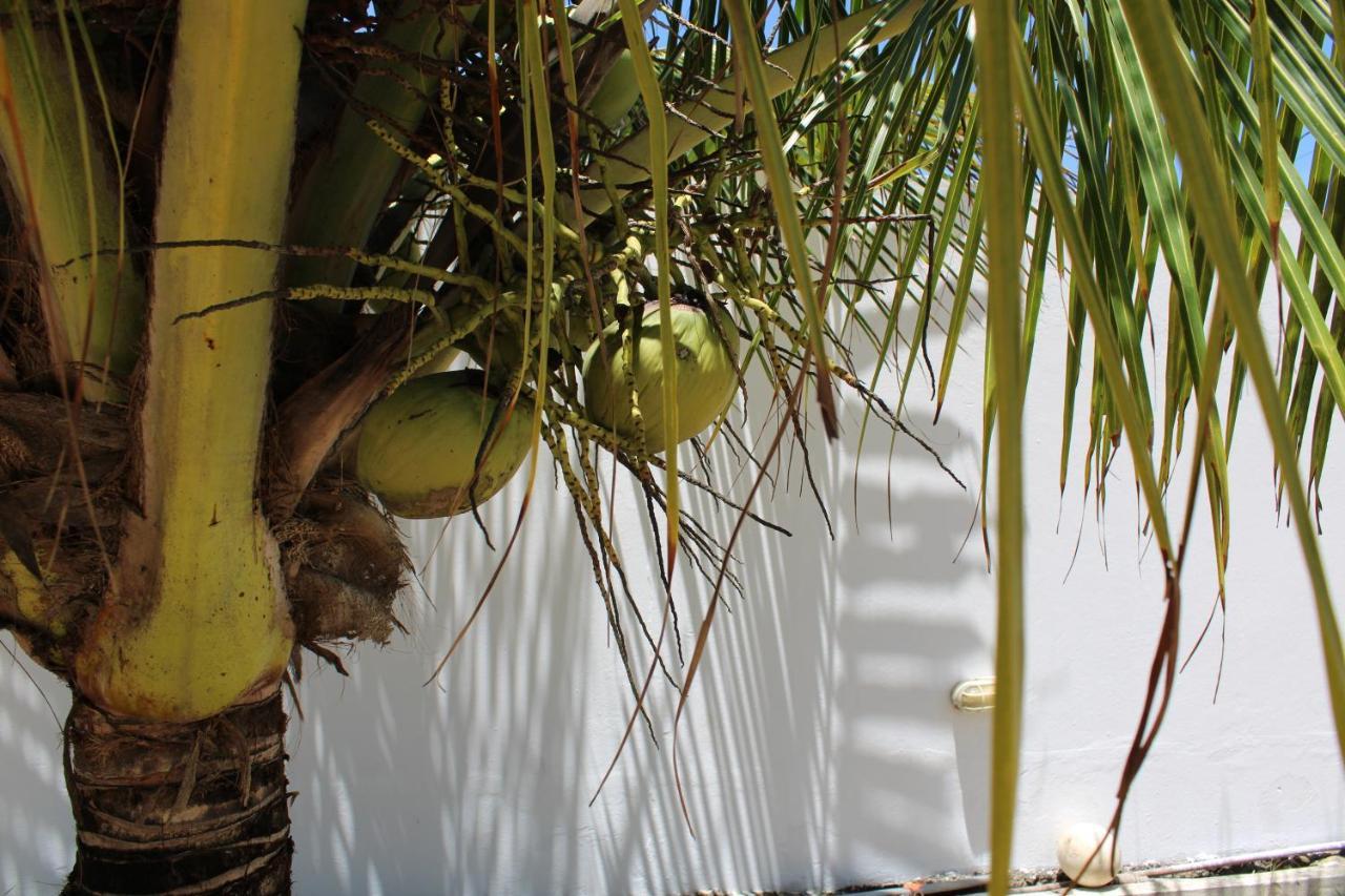 Beachhouse In Barra Do Sirinhaem Luaran gambar